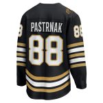 men8217s fanatics david pastrnak black boston bruins 100th anniversary premier breakaway player jersey – Vancouver Canucks Jerseys and Headwear Collection