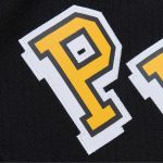 men8217s mitchell amp ness mario lemieux black pittsburgh penguins 199293 blue line player jersey – Vancouver Canucks Jerseys and Headwear Collection