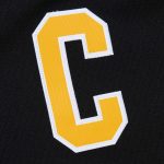 men8217s mitchell amp ness mario lemieux black pittsburgh penguins 199293 blue line player jersey – Vancouver Canucks Jerseys and Headwear Collection